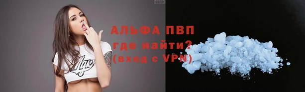 стафф Михайлов