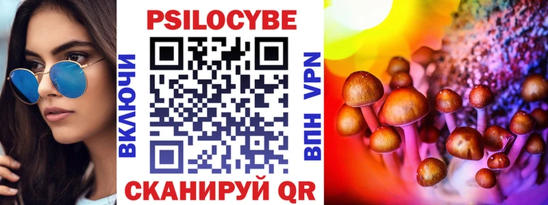 даркнет сайт  Ивангород  Псилоцибиновые грибы Psilocybe 